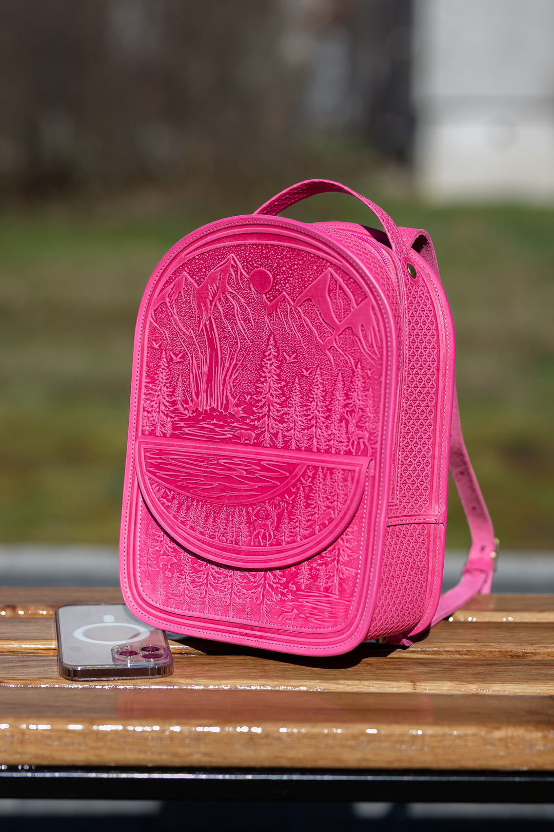Landscape Backpack